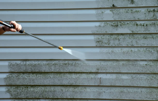 Best Deck Cleaning Services  in Shenandoah, IA