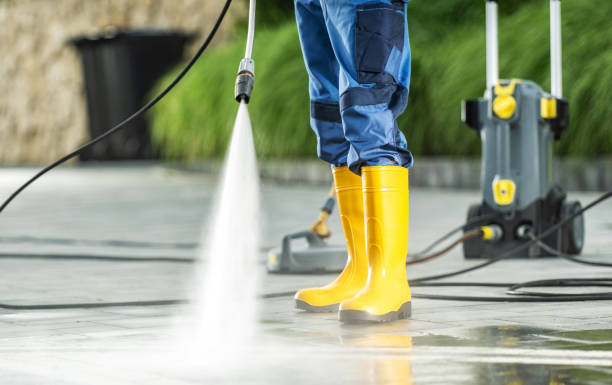 Best Best Pressure Washing Companies  in Shenandoah, IA