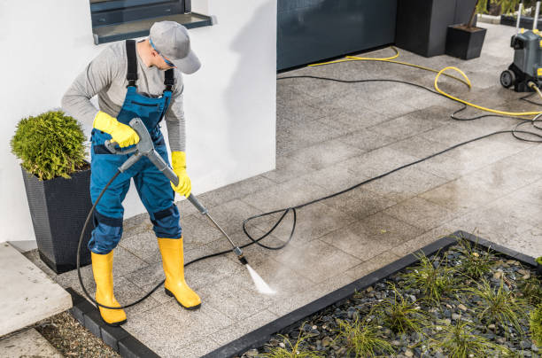 Best Best Pressure Washing Companies  in Shenandoah, IA