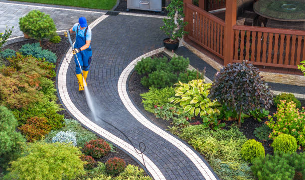Best Concrete Pressure Washing  in Shenandoah, IA