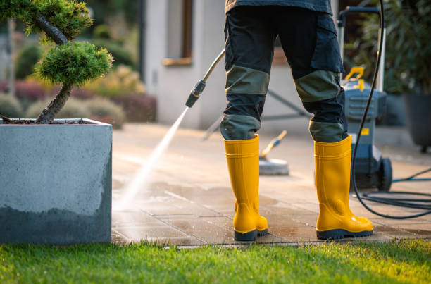 Best Concrete Pressure Washing  in Shenandoah, IA